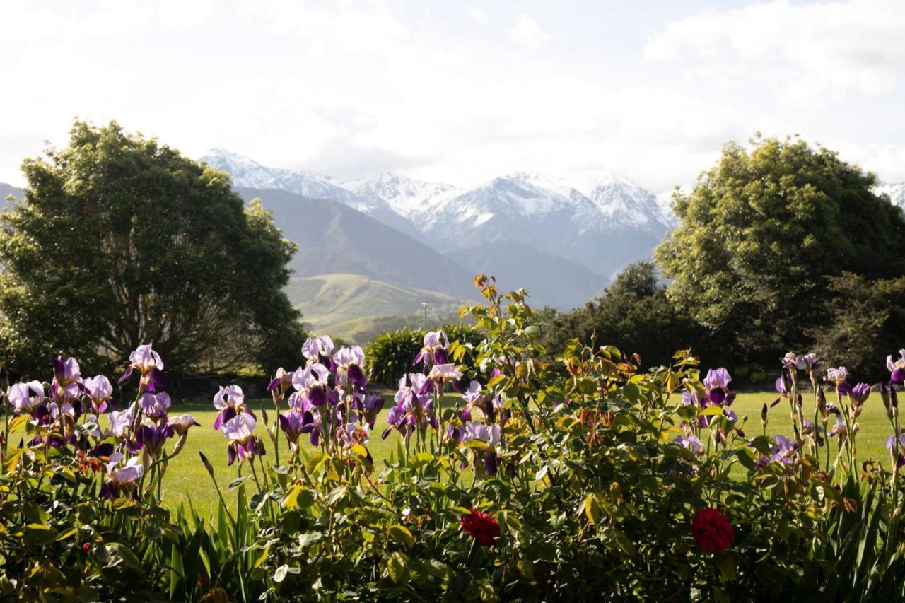 Awatea Country Bed & Breakfast Kaikoura Exterior foto