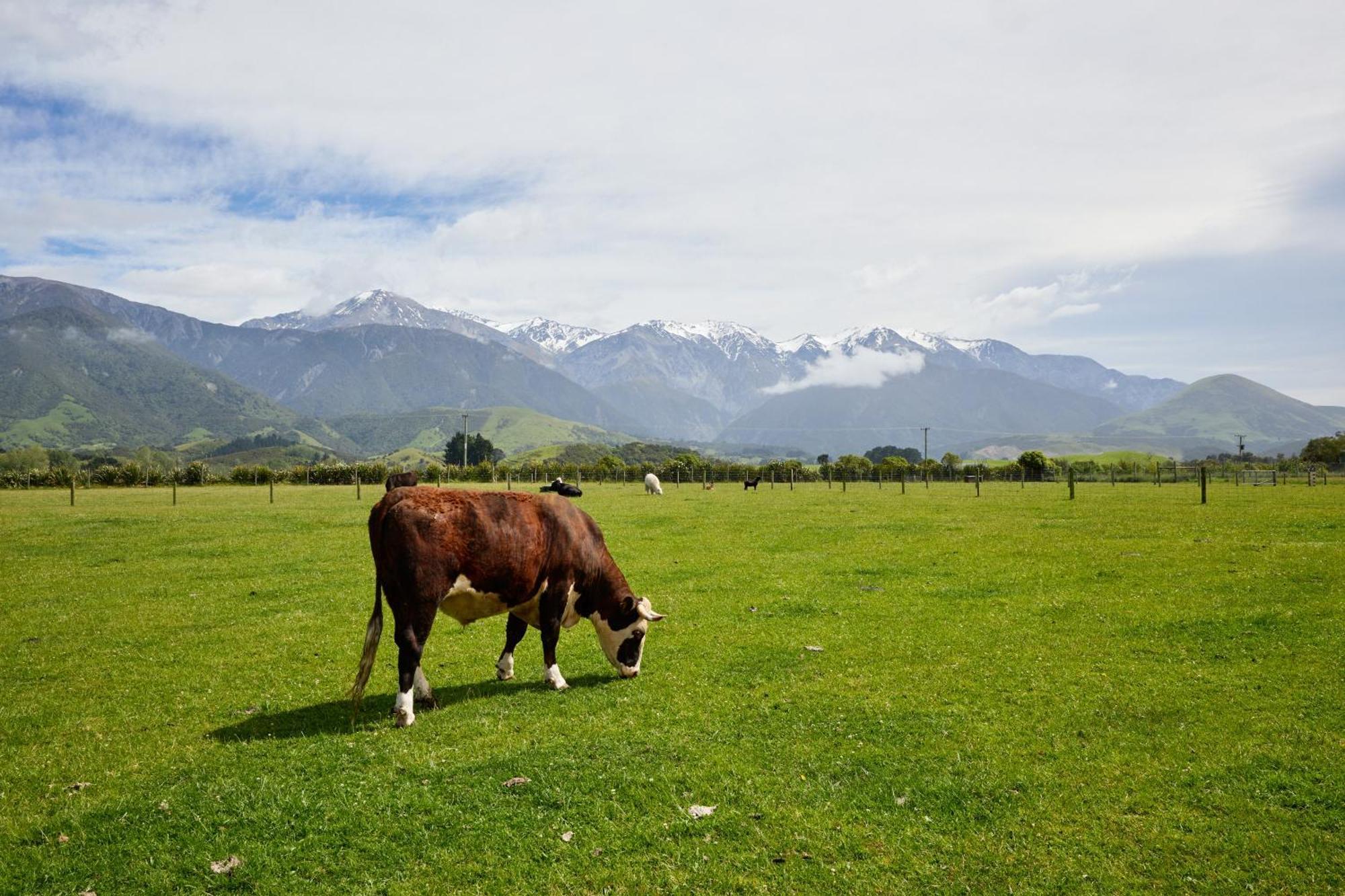 Awatea Country Bed & Breakfast Kaikoura Exterior foto